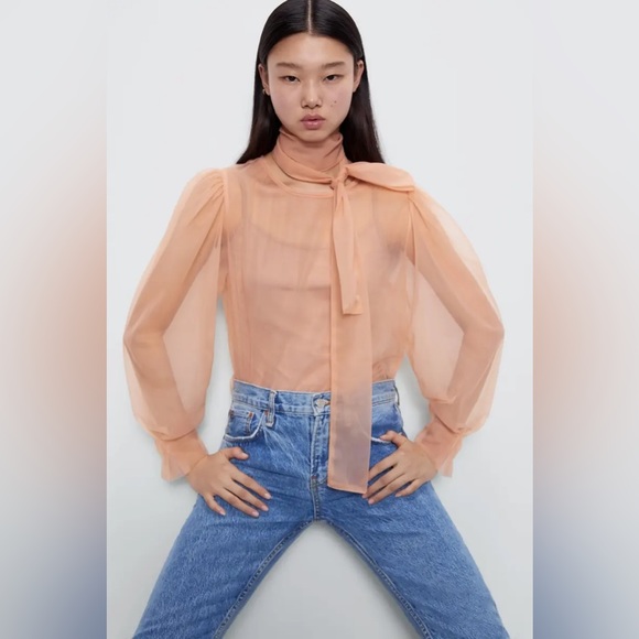 Zara Tops - Zara Sheer Long Sleeve Top
